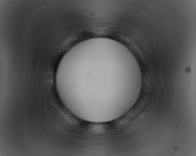 X0000100780710200807171443