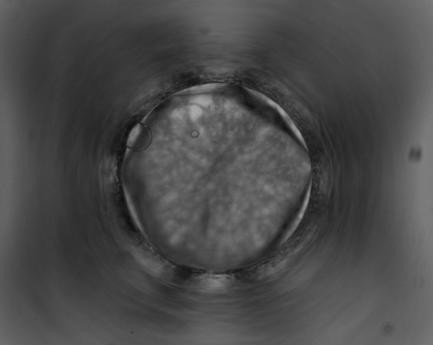 X0000100780711200807171443