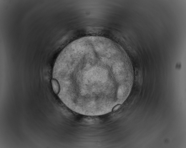 X0000100780712200807171443