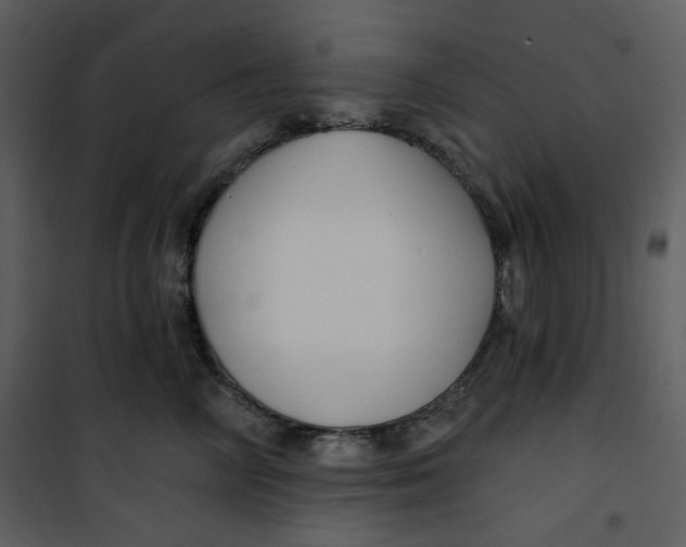 X0000100780714200807171443