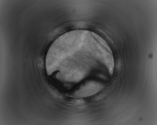 X0000100780715200807171443