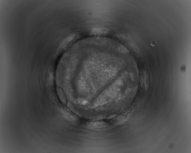 X0000100780716200807171443