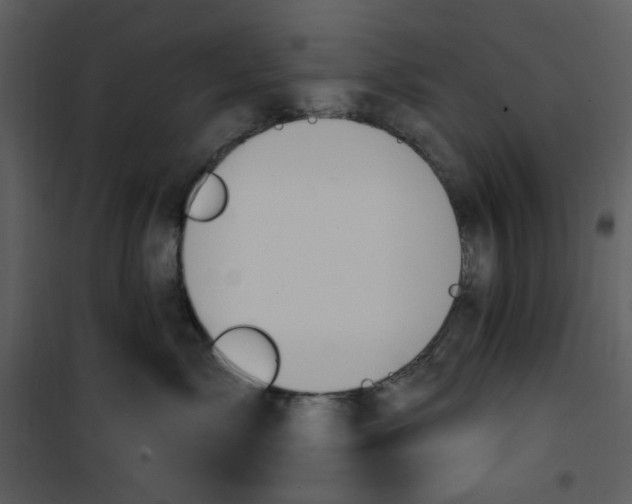 X0000100780717200807171443