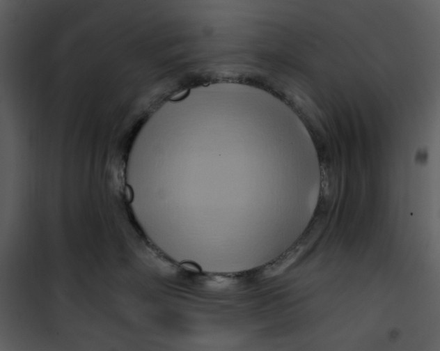 X0000100780718200807171442
