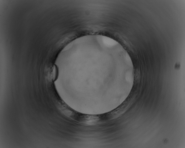 X0000100780719200807171442
