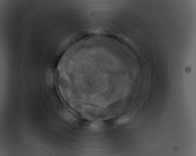 X0000100780720200807171442