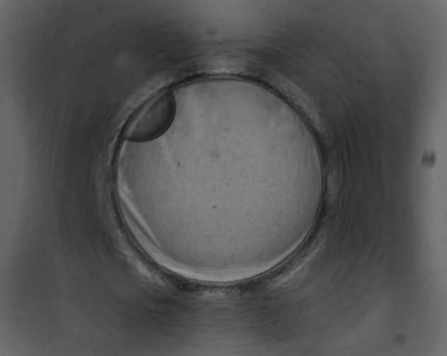 X0000100780721200807171441
