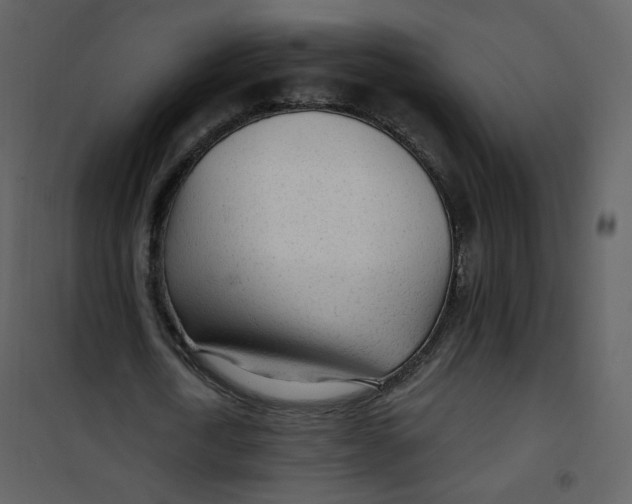 X0000100780722200807171441
