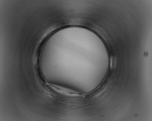 X0000100780723200807171441