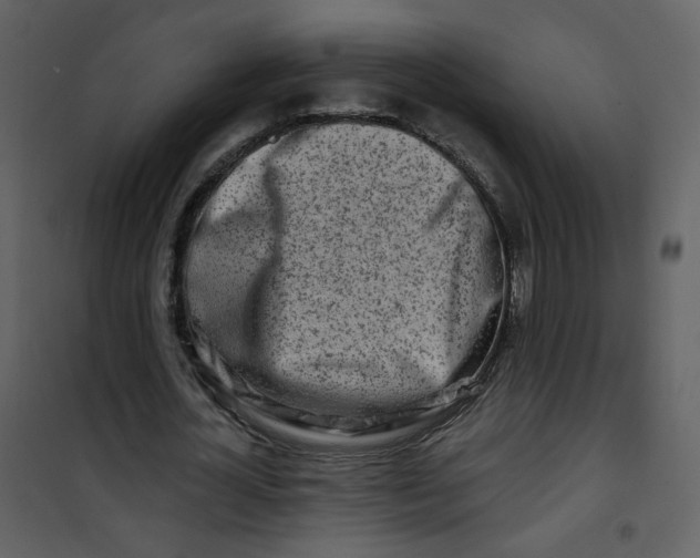 X0000100780724200807171441