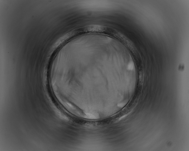 X0000100780725200807171442