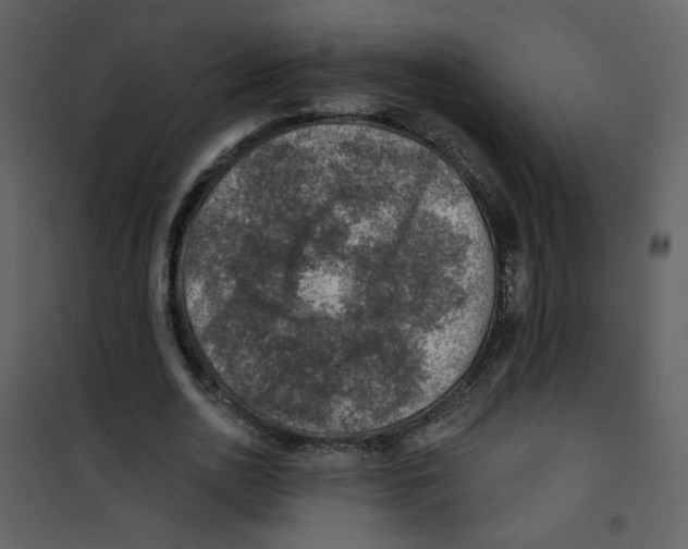 X0000100780726200807171442