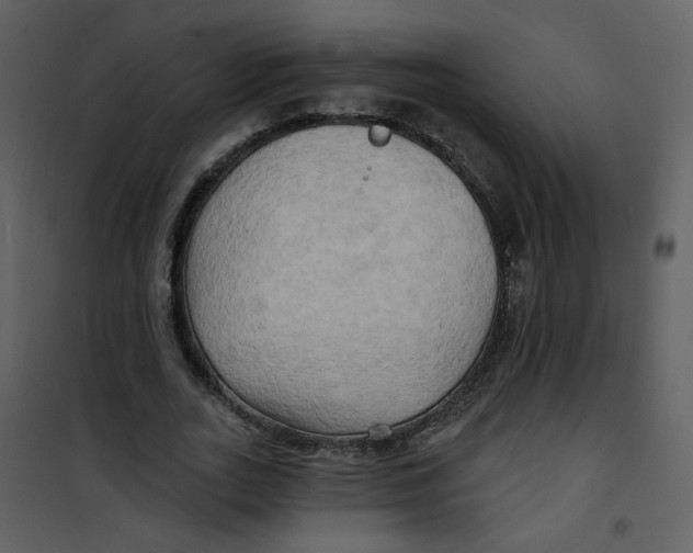 X0000100780727200807171442