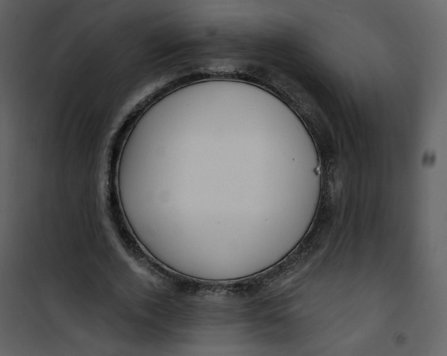 X0000100780728200807171442