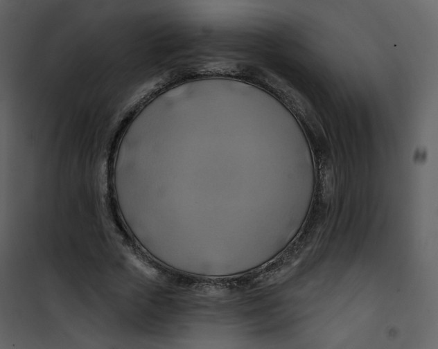 X0000100780729200807171442