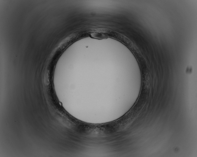 X0000100780731200807171442
