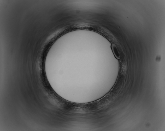 X0000100780732200807171442