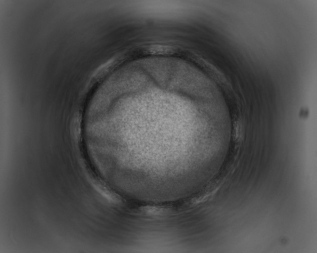 X0000100780733200807171442