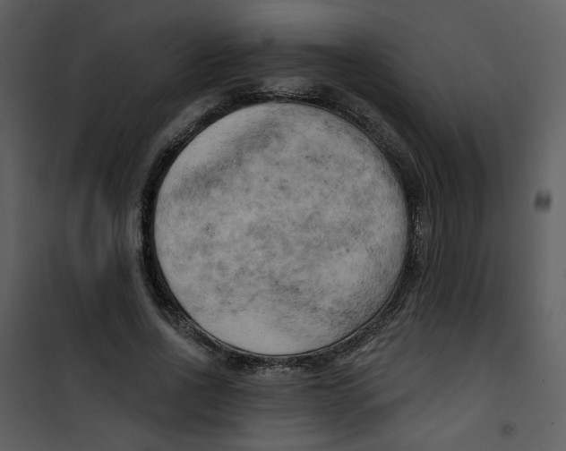 X0000100780734200807171442