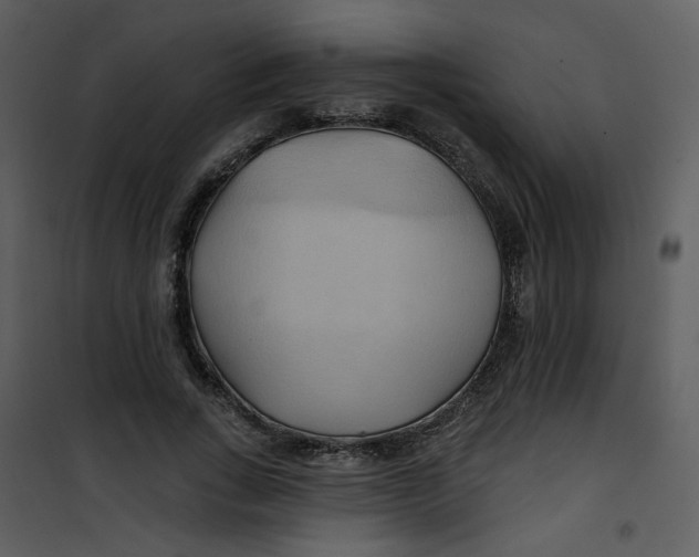 X0000100780735200807171442