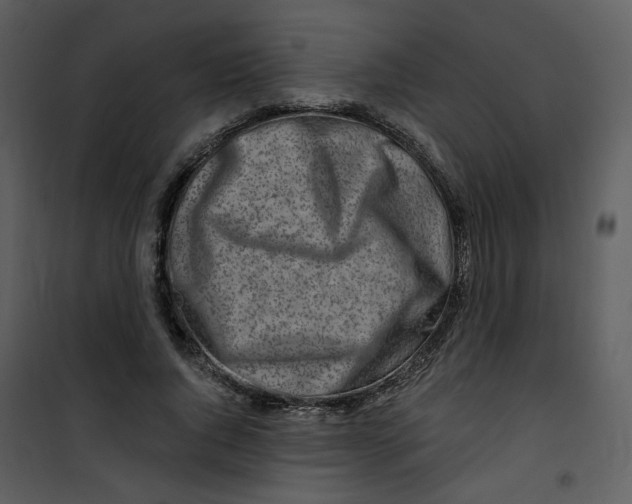 X0000100780736200807171442