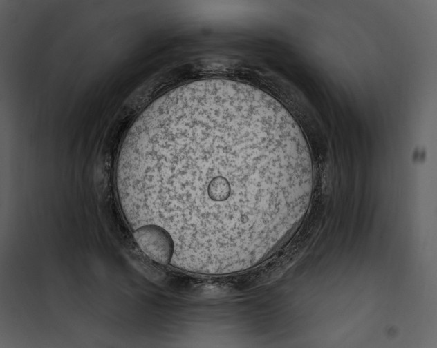 X0000100780737200807171442