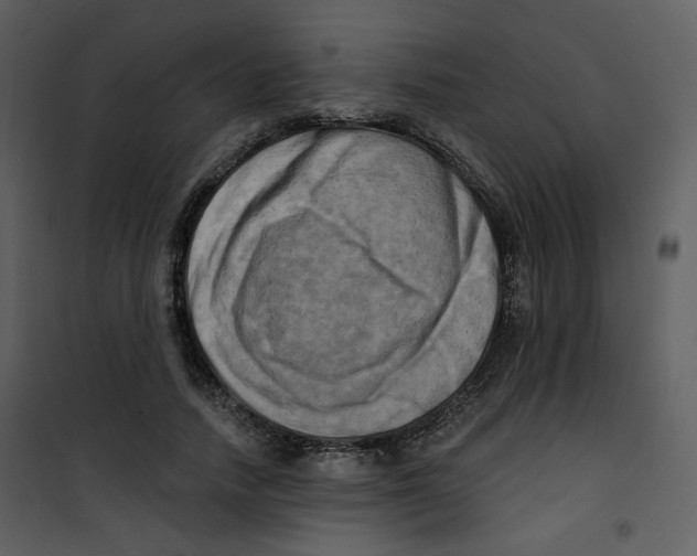 X0000100780738200807171442