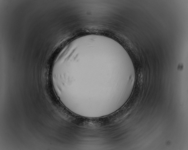 X0000100780739200807171442