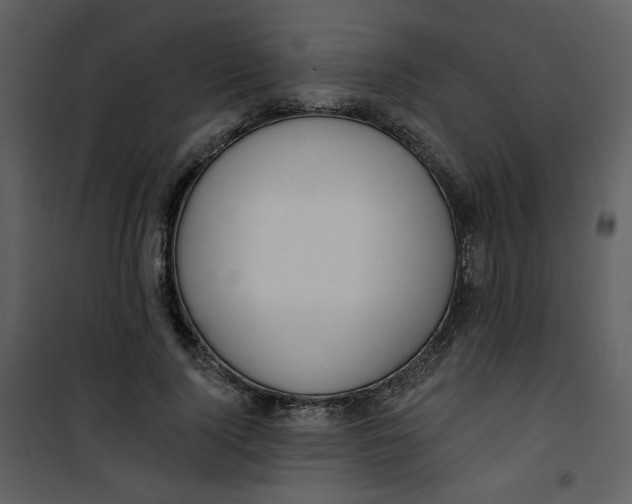 X0000100780740200807171442