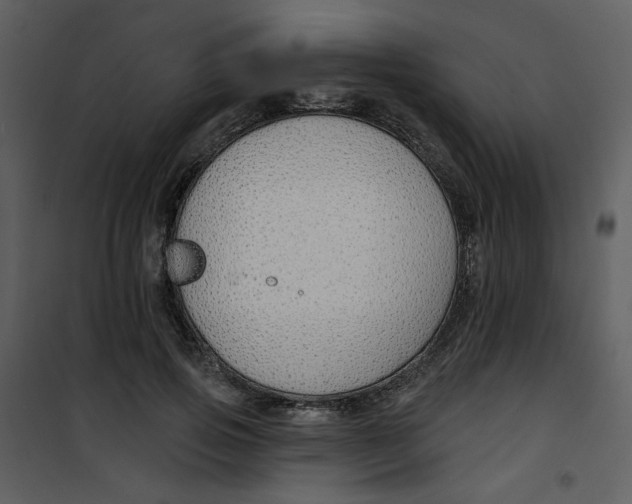 X0000100780741200807171442
