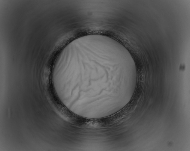 X0000100780742200807171442