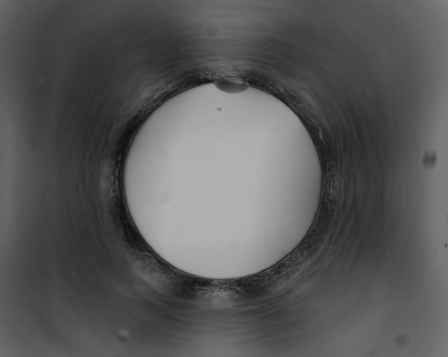 X0000100780743200807171442