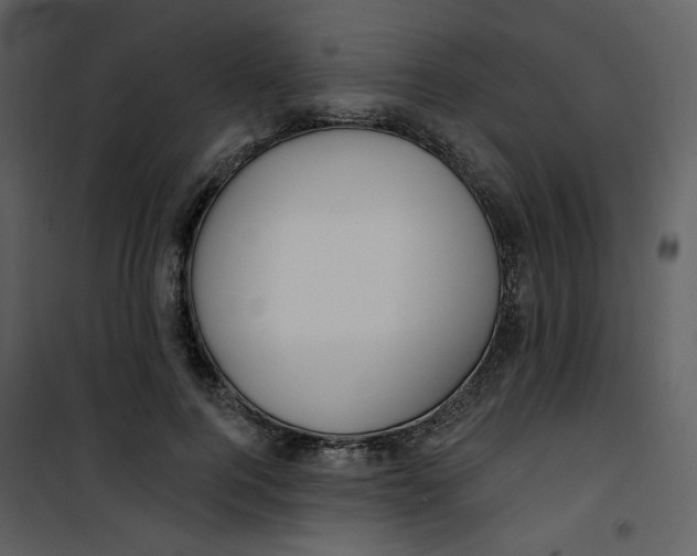 X0000100780744200807171442
