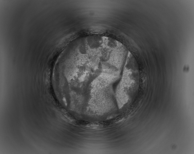 X0000100780745200807171442