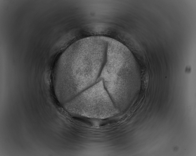 X0000100780746200807171442