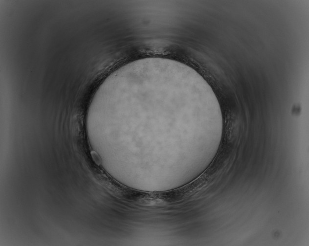 X0000100780747200807171442