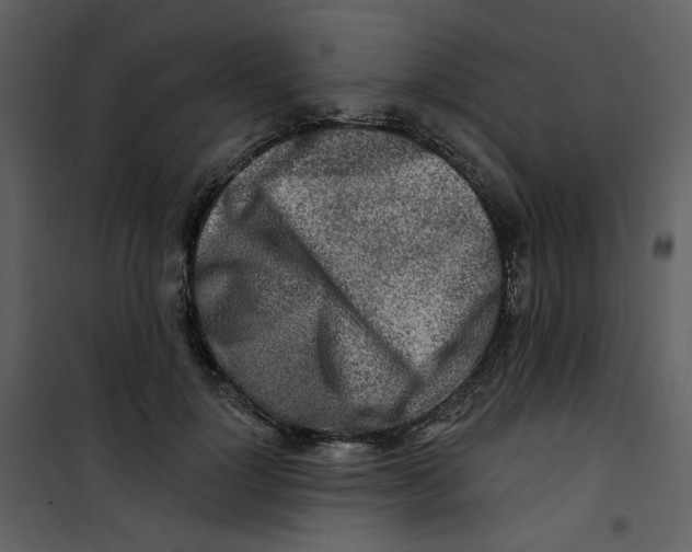 X0000100780748200807171442