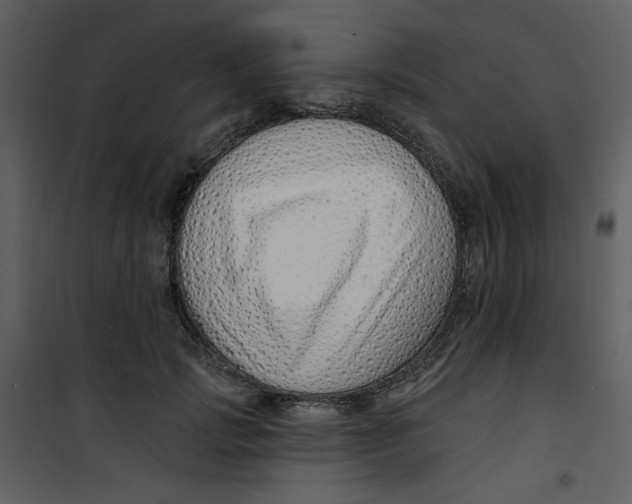 X0000100780749200807171442