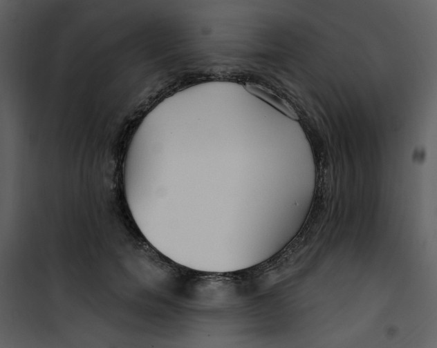 X0000100780750200807171442