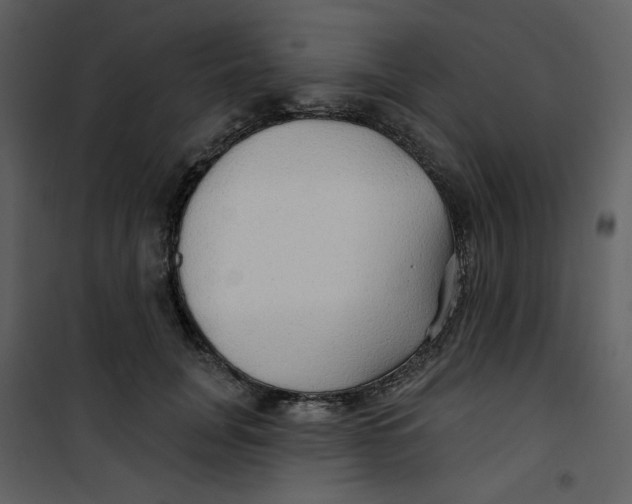 X0000100780751200807171442