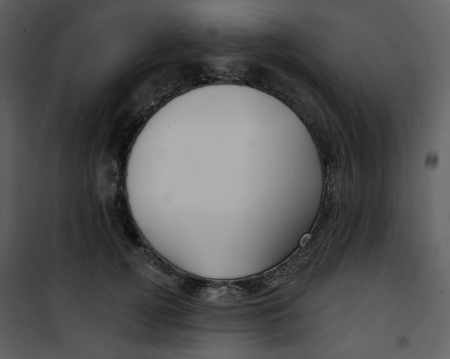 X0000100780752200807171442