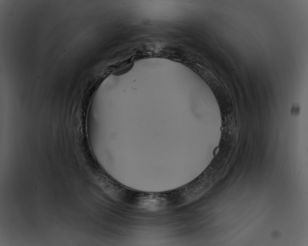 X0000100780754200807171442