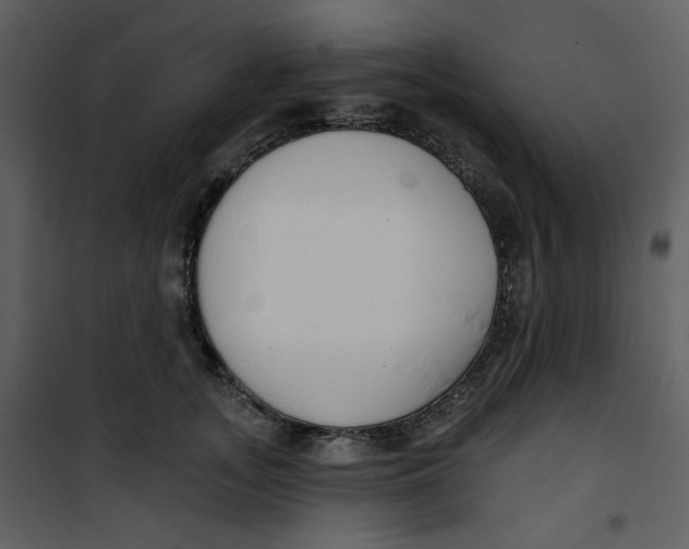 X0000100780755200807171442
