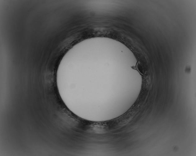 X0000100780756200807171442