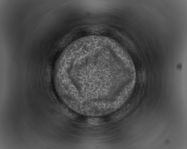 X0000100780757200807171442