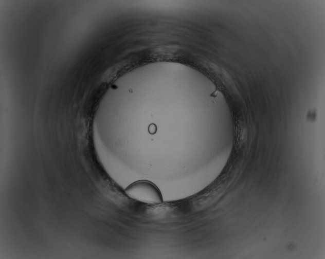 X0000100780759200807171442