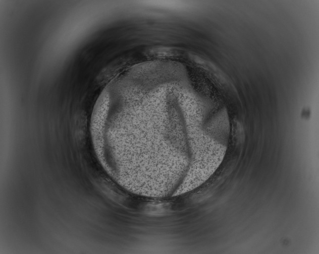 X0000100780760200807171442