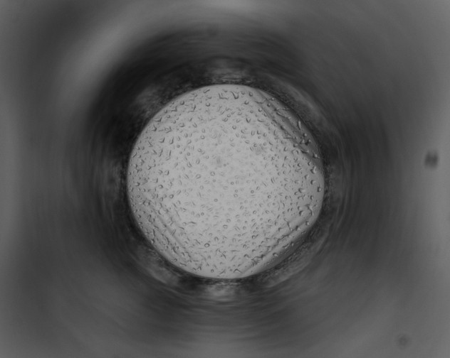 X0000100780761200807171442