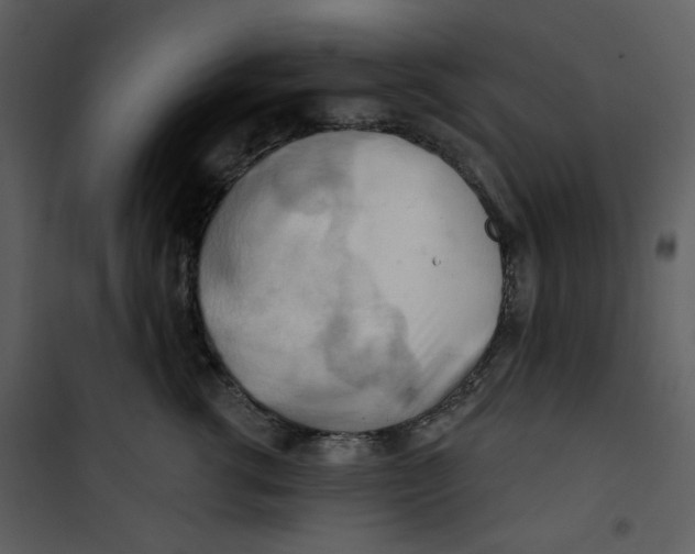 X0000100780762200807171442