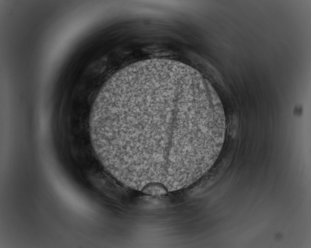 X0000100780763200807171442